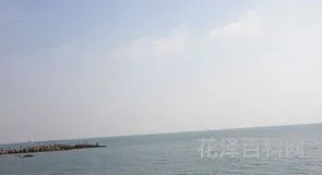 我会在沿海地带