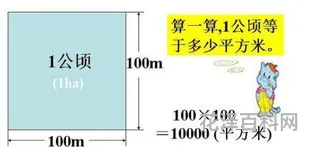 一公顷等于几亩