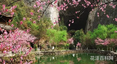 我心中的桃花源，心中若有桃花源,人间处处是风景