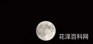 十五的月亮只有十六圆吗