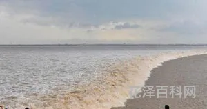 钱塘江涨潮时间