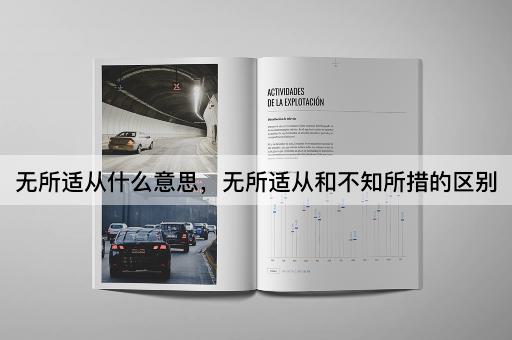 无所适从什么意思，无所适从和不知所措的区别
