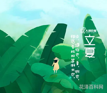 包含立夏是几月几日的词条，3月以后包含3月吗