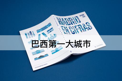 巴西第一大城市