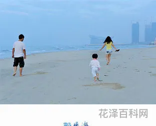 春江潮水连海平下一句