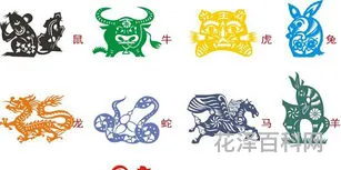 2019年属什么 生肖猪的五行