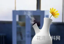 空气加湿器的危害