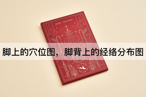 脚上的穴位图，脚背上的经络分布图