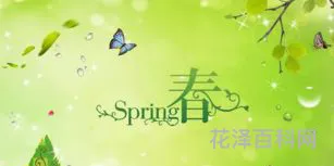 关于描写春天的句子，小学一年级简短句子春天