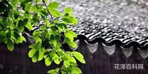 出梅是什么意思