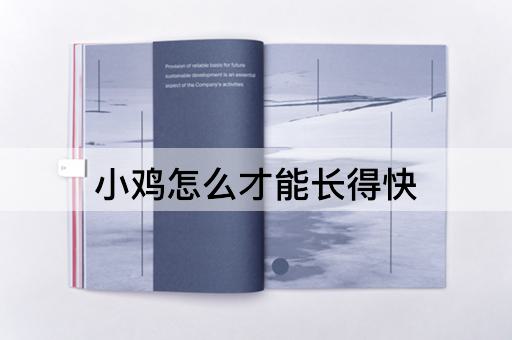 小鸡怎么才能长得快