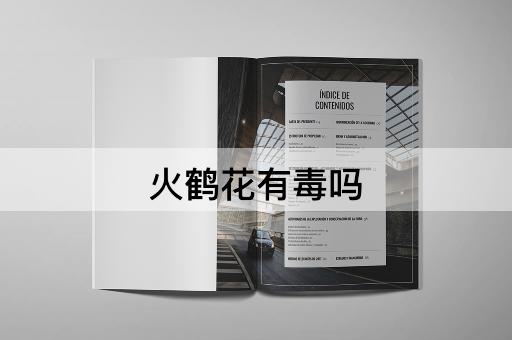 火鹤花有毒吗