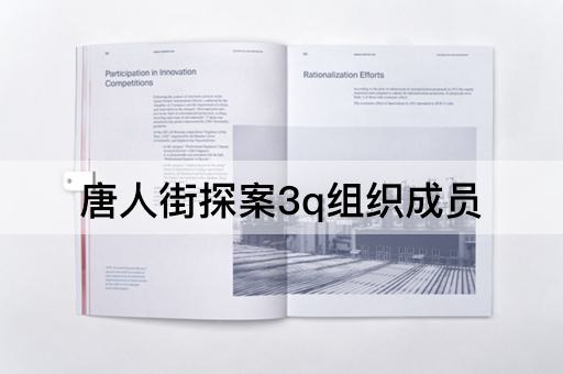 唐人街探案3q组织成员