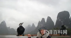 漓江的水真静啊