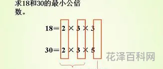 互质数是什么