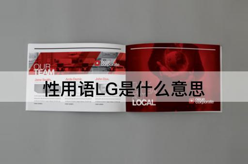 性用语LG是什么意思
