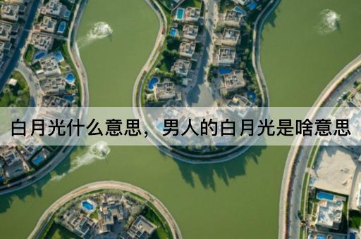 白月光什么意思，男人的白月光是啥意思