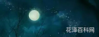 今夜月明人尽望 我待清风如明月,不及明月照我心