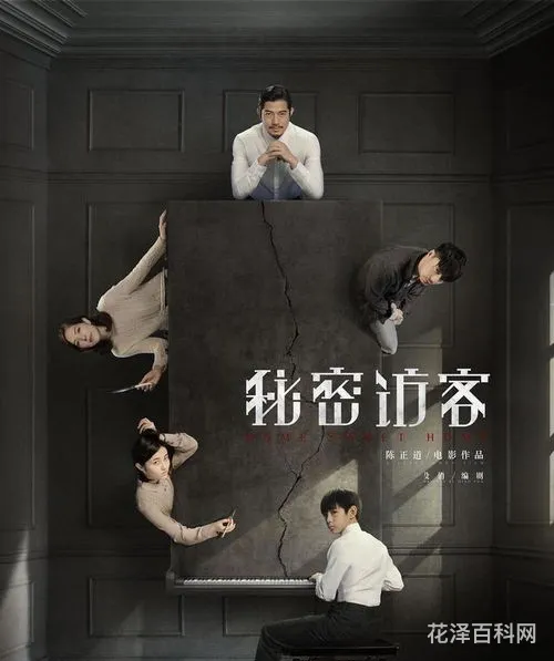 秘密访客解析 秘密访客剧情详细介绍