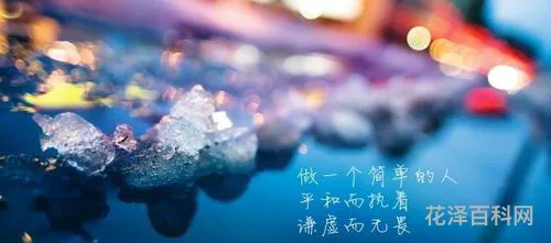 正能量的句子，一天一句正能量简短