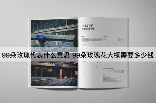 99朵玫瑰代表什么意思 99朵玫瑰花大概需要多少钱