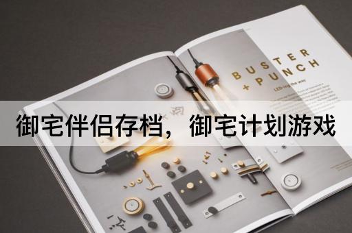 御宅伴侣存档，御宅计划游戏