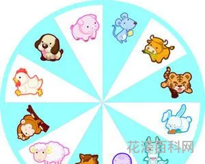 本命年要注意什么，2024年属龙的本命年运势