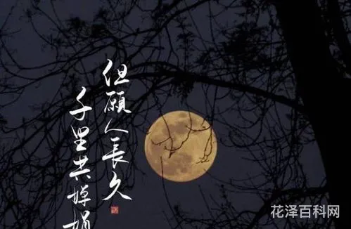 但愿人长久的内涵意思