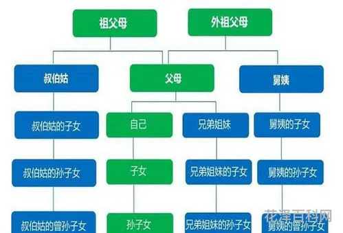 直系亲属的范围，直系亲属一览表
