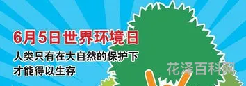 6.5世界环境日主题，中国环境日主题