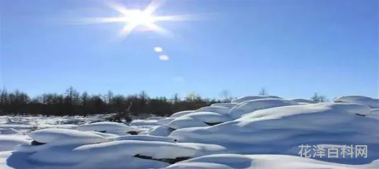 大漠沙如雪的下一句