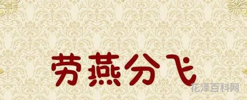 劳燕分飞的劳指的是什么?