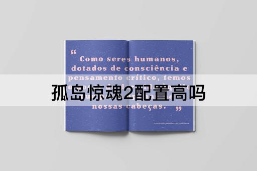 孤岛惊魂2配置高吗