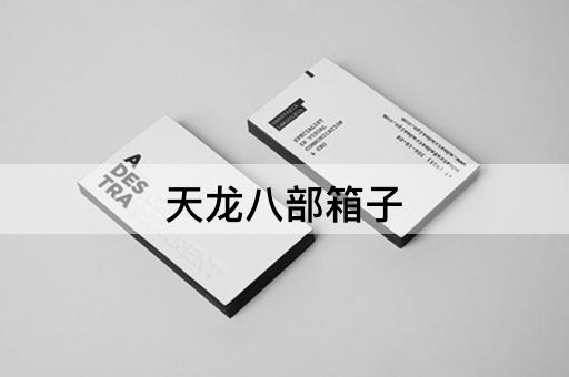 天龙八部箱子