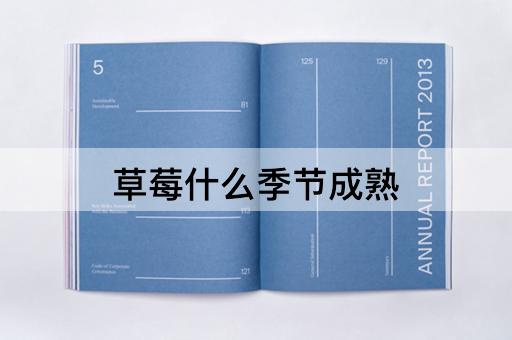 草莓什么季节成熟