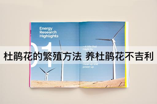 杜鹃花的繁殖方法 养杜鹃花不吉利