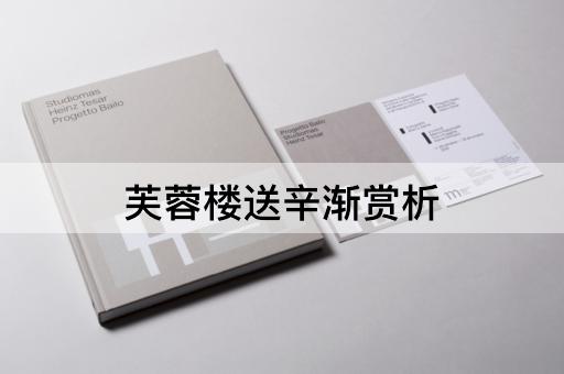 芙蓉楼送辛渐赏析