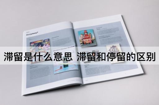 滞留是什么意思 滞留和停留的区别