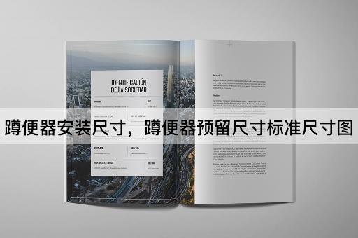 蹲便器安装尺寸，蹲便器预留尺寸标准尺寸图