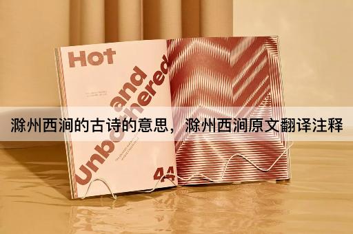 滁州西涧的古诗的意思，滁州西涧原文翻译注释