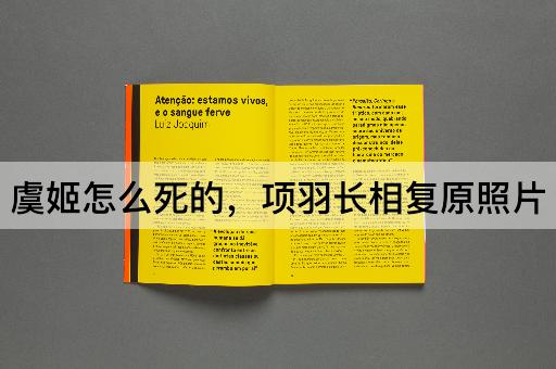 虞姬怎么死的，项羽长相复原照片