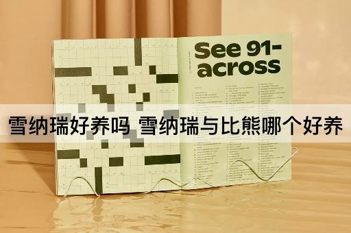 雪纳瑞好养吗 雪纳瑞与比熊哪个好养