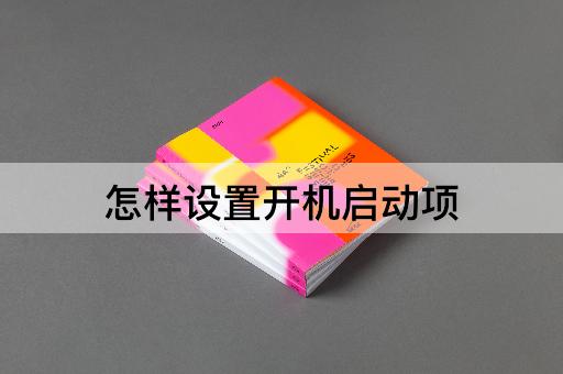 怎样设置开机启动项