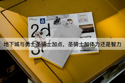 地下城与勇士圣骑士加点，圣骑士加体力还是智力