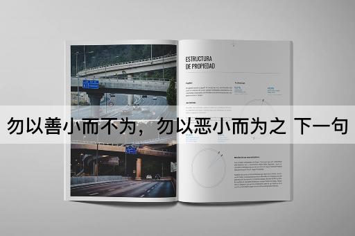 勿以善小而不为，勿以恶小而为之 下一句