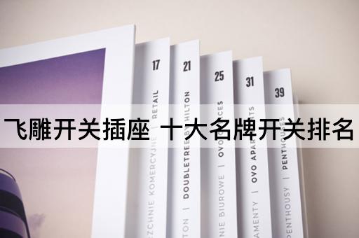 飞雕开关插座 十大名牌开关排名