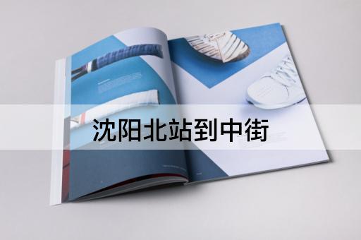 沈阳北站到中街