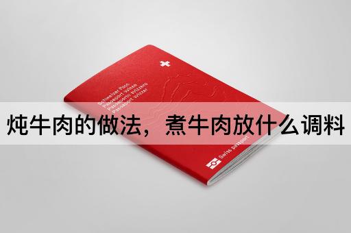炖牛肉的做法，煮牛肉放什么调料