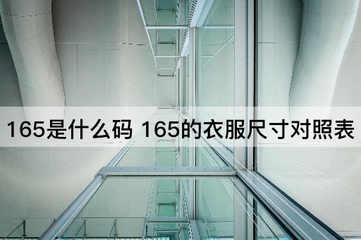 165是什么码 165的衣服尺寸对照表