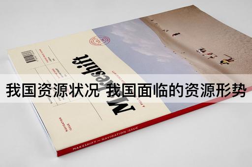 我国资源状况 我国面临的资源形势